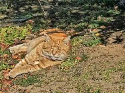 成田山新勝寺(千葉県)