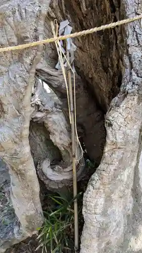 天神社(大分県)