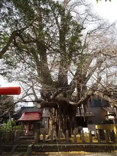宮城野八幡神社(宮城県)