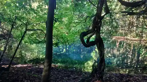 丸池神社(山形県)