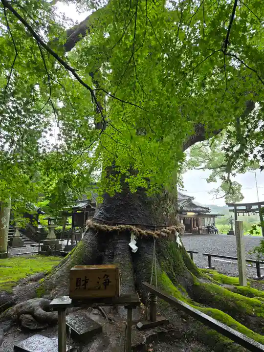 事任八幡宮(静岡県)