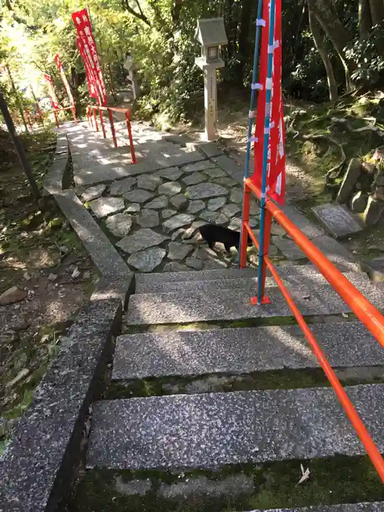 朝護孫子寺の動物