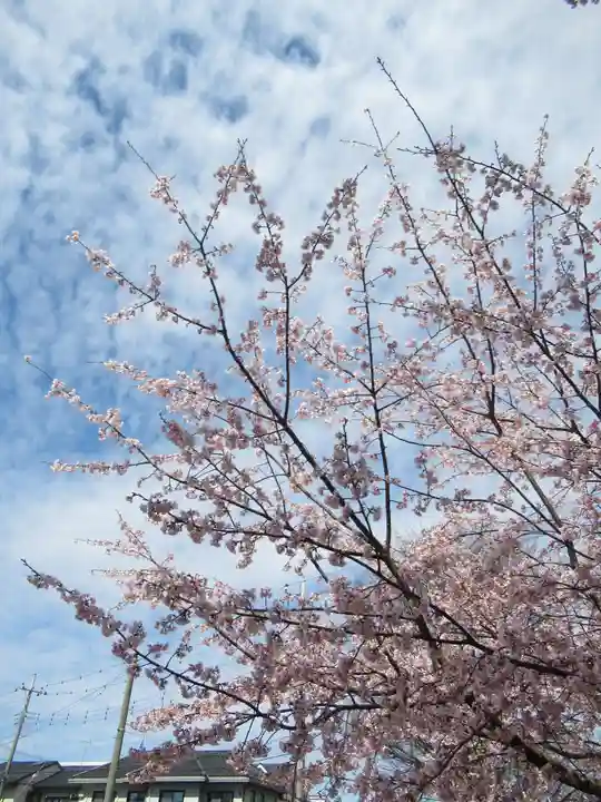 香取神社(千葉県)