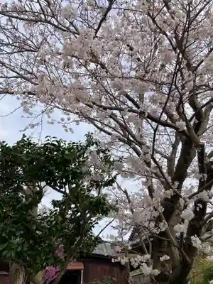 本覚寺(神奈川県)