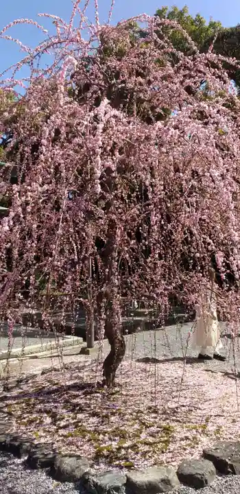 城南宮(京都府)