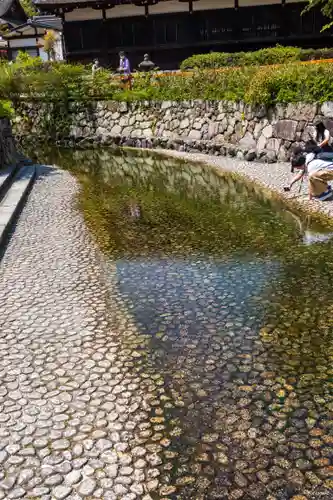 賀茂御祖神社（下鴨神社）(京都府)
