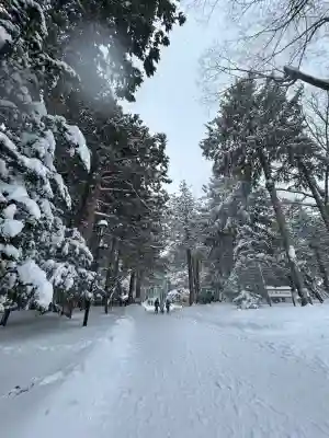 北海道神宮の{uncategorized: "未分類", other: "その他", undefined: "問題あり", building: "その他建物", grave: "お墓", sacred_gate: "鳥居", guardian: "狛犬", statue: "像", buddha: "仏像", history: "歴史", nature: "自然", garden: "庭園", animal: "動物", pagoda: "塔", temizu: "手水舎", mountain_gate: "山門・神門", sanctuary: "本殿・本堂", subordinate: "末社・摂社", art: "芸術", scenery: "景色", jizo: "地蔵", ema: "絵馬", goshuin: "御朱印", omikuji: "おみくじ", items: "授与品その他", amulet: "お守り", goshuincho: "御朱印帳", eats: "食事", festival: "お祭り", votive_dance: "神楽", shichigosan: "七五三参", wedding: "結婚式", experience: "体験その他", initially: "初詣", around: "周辺", anti_infection: "感染症対策"}