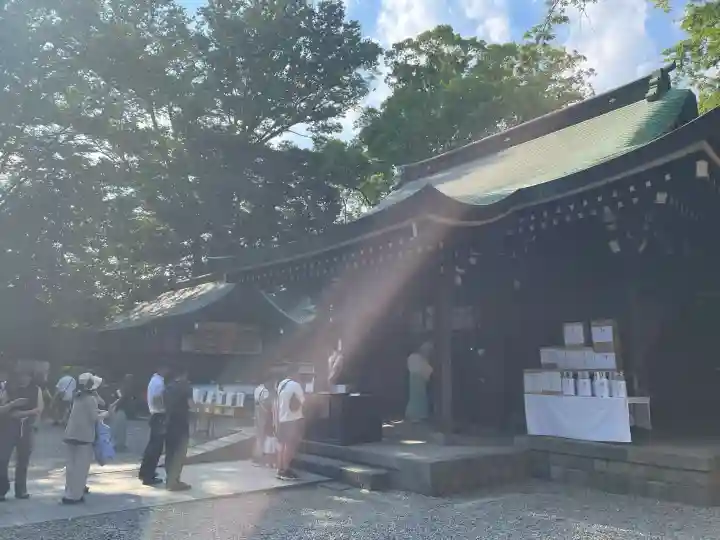 川越氷川神社(埼玉県)