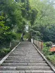 金櫻神社(山梨県)