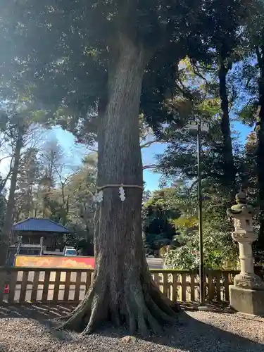 岩槻久伊豆神社(埼玉県)