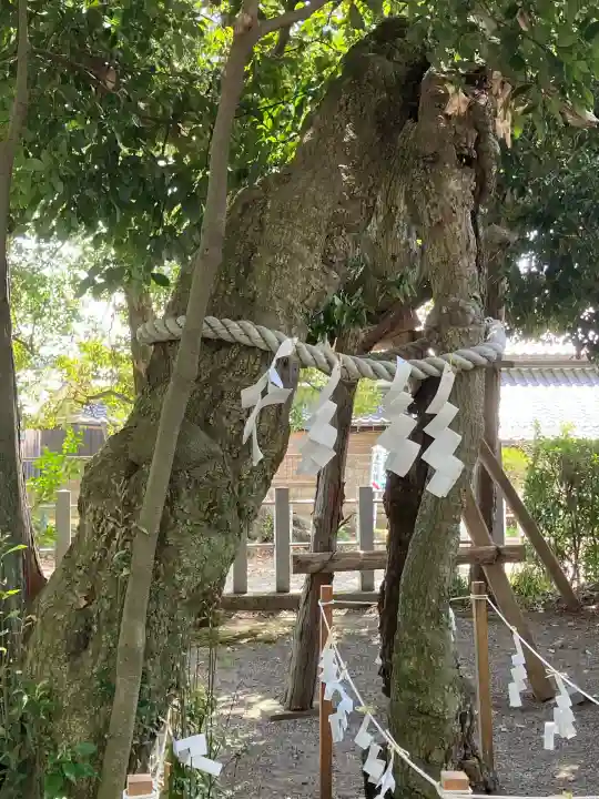 賀茂神社(滋賀県)