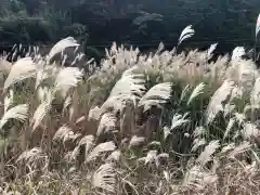 木舟山　順教寺の自然