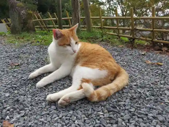 南禅寺(京都府)