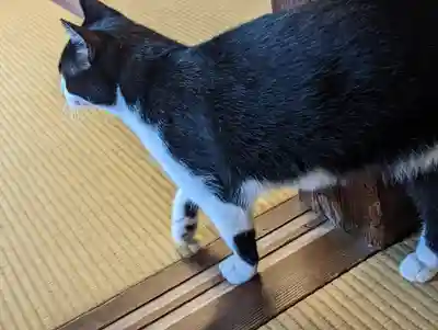 乗願寺(京都府)