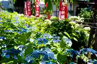 日吉八王子神社の自然