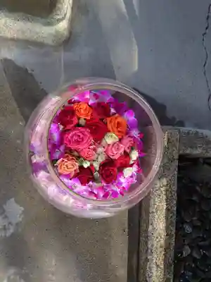 美濃國一宮　南宮大社(岐阜県)