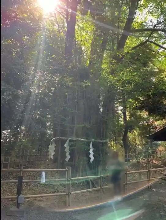 大國魂神社(東京都)