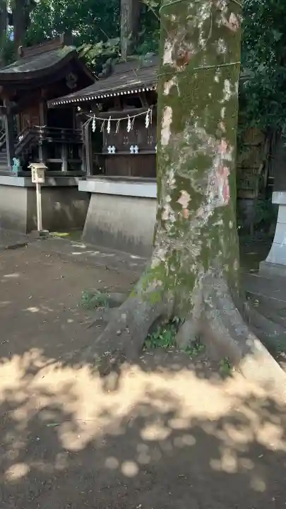 天沼八幡神社(東京都)