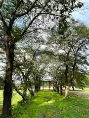 子檀嶺神社(長野県)