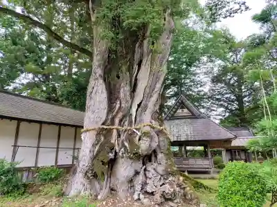 天引八幡神社(京都府)