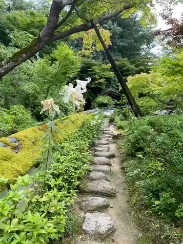 當麻寺中之坊(奈良県)