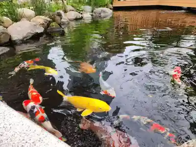 愛宕神社(東京都)