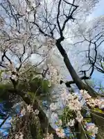 関川寺(福島県)