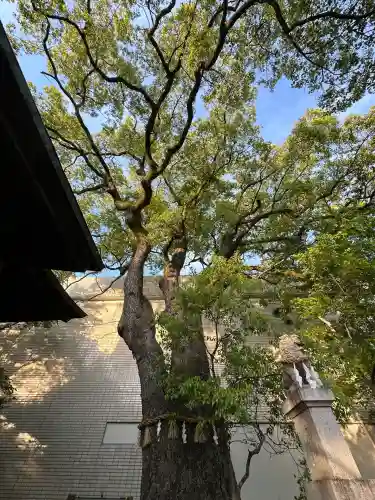 貴布禰神社(静岡県)