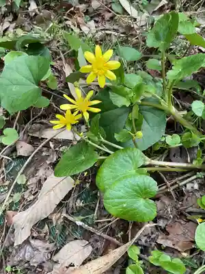 尾張冨士大宮浅間神社(愛知県)