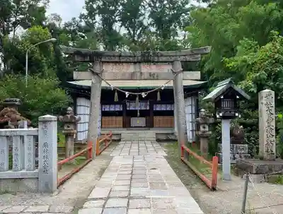 和泉國一之宮　大鳥大社の鳥居