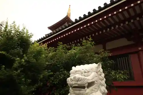 浅草神社の狛犬