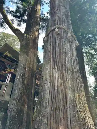 三峯神社(埼玉県)