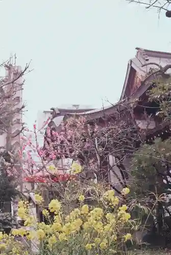 素盞雄神社の自然
