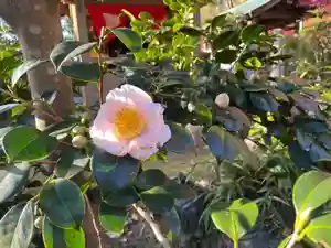 伊勢の国 四天王寺(三重県)(2022年12月07日(水) 16時58分45秒投稿)