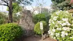 泰徳寺の建物その他