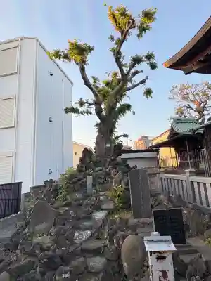 桑川神社のその他建物
