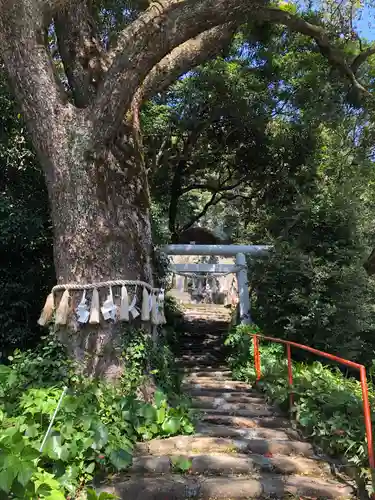 駒宮神社の鳥居