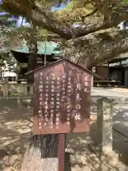 岩屋神社の歴史