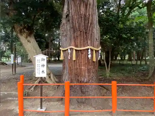 息栖神社のその他建物