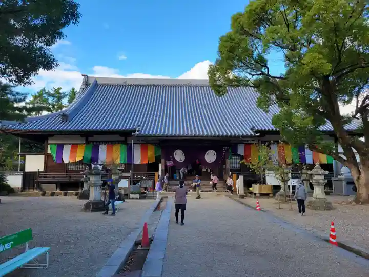 大樹寺(松安院大樹寺)(愛知県)