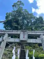 貴布彌社(東京都)