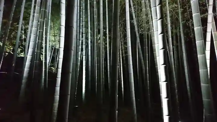 青蓮院門跡(京都府)