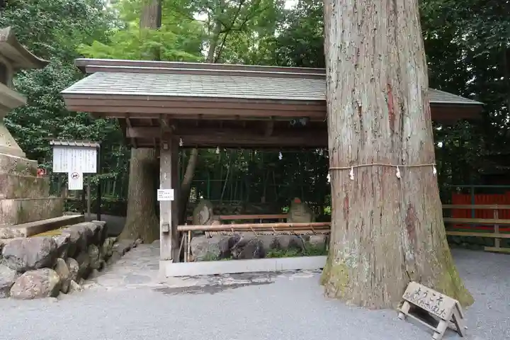 椿大神社(三重県)