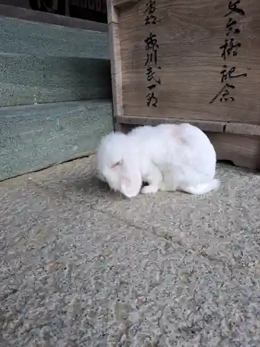 大御和神社(徳島県)