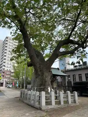 阿邪訶根神社(福島県)