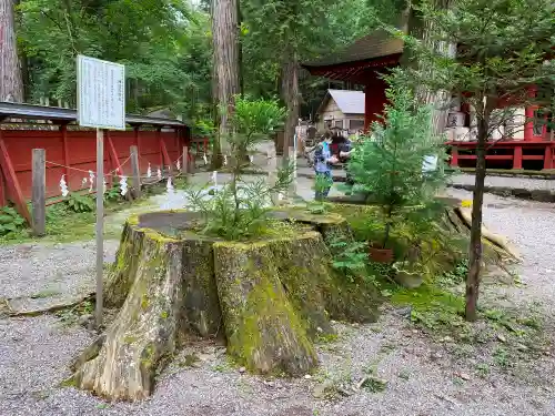 日光二荒山神社の自然