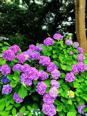 稲荷神社(愛知県)