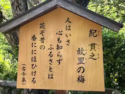 長谷寺(奈良県)