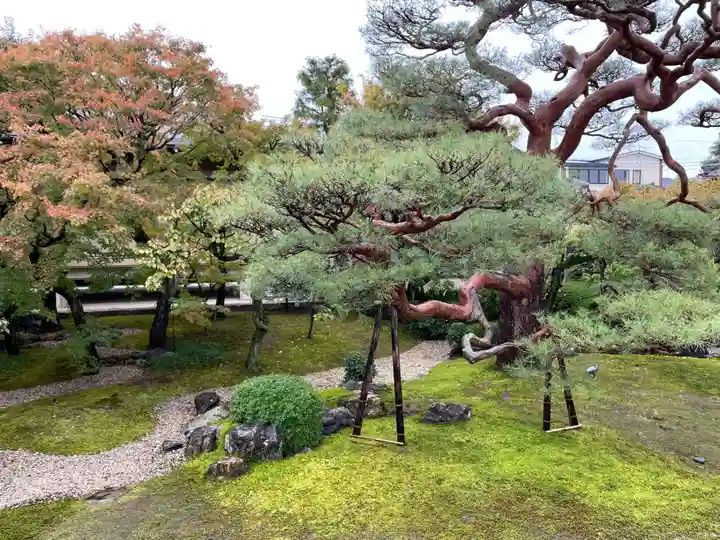 妙顯寺(妙顕寺)(京都府)