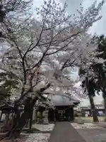 諏訪雷電神社(埼玉県)